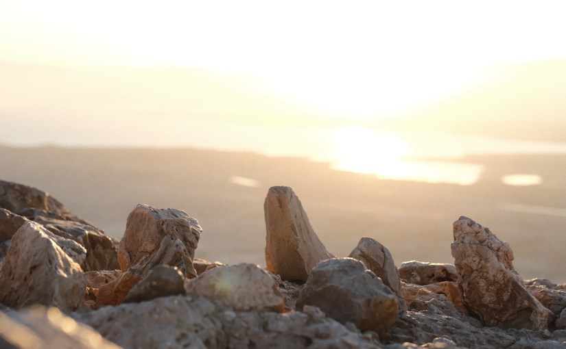 Stones in the&nbsp;Wilderness