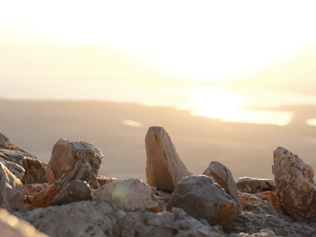 Stones in the&nbsp;Wilderness